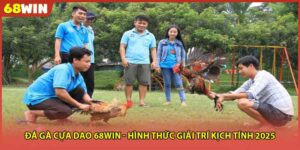 Đá Gà Cựa Dao 68WIN - Hình Thức Giải Trí Kịch Tính 2025