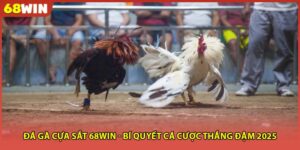 Đá Gà Cựa Sắt 68WIN - Bí Quyết Cá Cược Thắng Đậm 2025